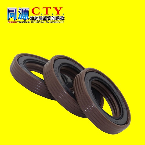 安装骨架油封的注意事项